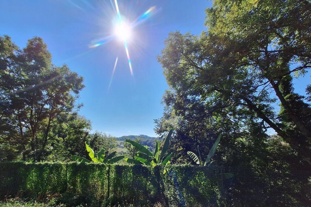 Logement Neuf A 2 Pas Du Lac La Bridoire Εξωτερικό φωτογραφία